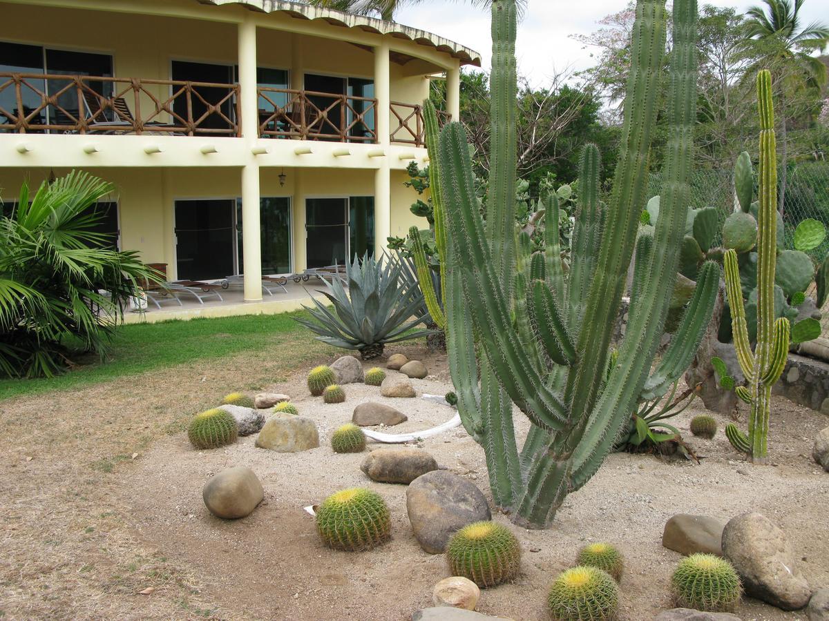 Aparthotel Casa Del Sol à Lo de Marcos Extérieur photo